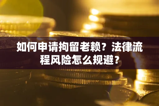武汉如何申请拘留老赖？法律流程风险怎么规避？
