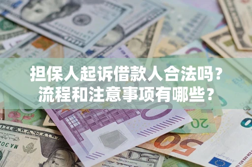 武汉担保人起诉借款人合法吗？流程和注意事项有哪些？