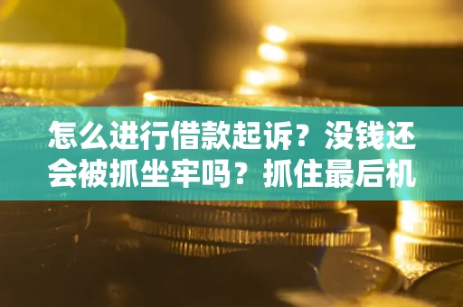 武汉怎么进行借款起诉？没钱还会被抓坐牢吗？抓住最后机会！