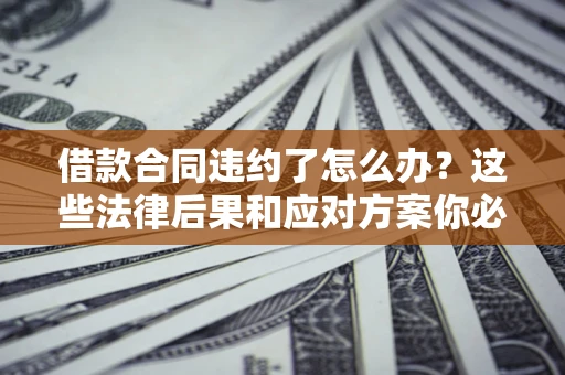 武汉借款合同违约了怎么办？这些法律后果和应对方案你必须知道