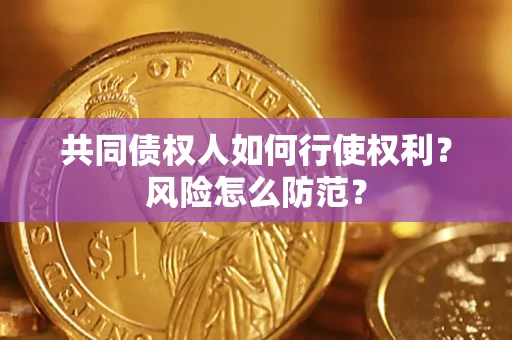 武汉共同债权人如何行使权利？风险怎么防范？