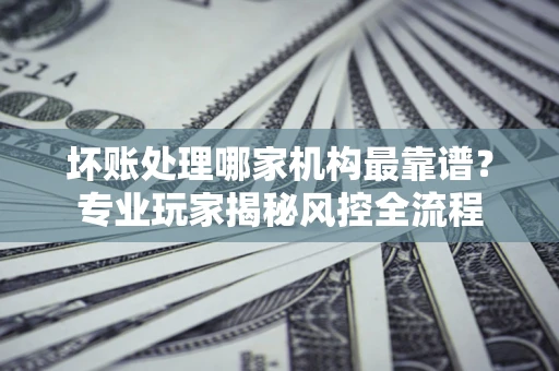 武汉坏账处理哪家机构最靠谱？专业玩家揭秘风控全流程