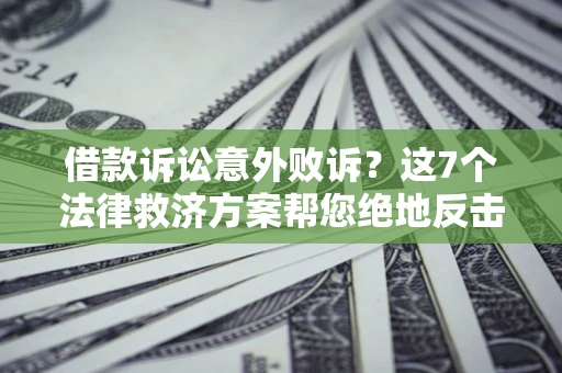 武汉借款诉讼意外败诉？这7个法律救济方案帮您绝地反击！