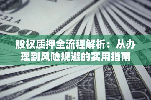 武汉股权质押全流程解析：从办理到风险规避的实用指南