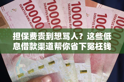 武汉担保费贵到想骂人？这些低息借款渠道帮你省下冤枉钱