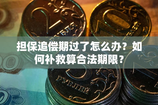 武汉担保追偿期过了怎么办？如何补救算合法期限？