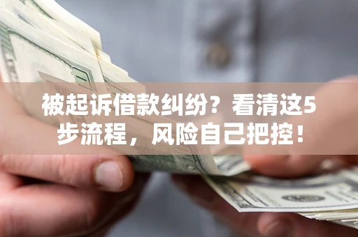武汉被起诉借款纠纷？看清这5步流程，风险自己把控！