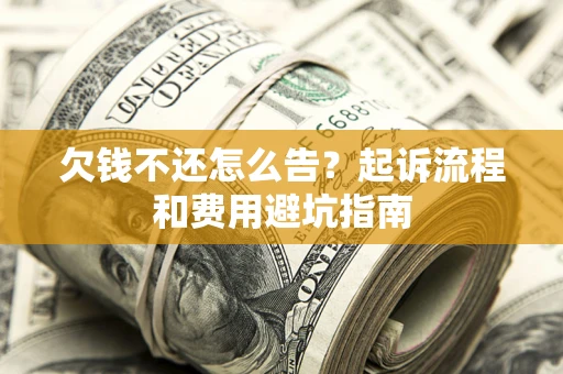 武汉欠钱不还怎么告？起诉流程和费用避坑指南