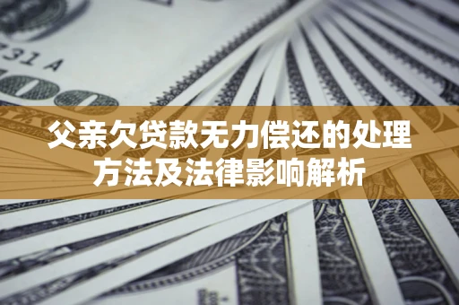 武汉父亲欠贷款无力偿还的处理方法及法律影响解析